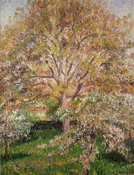 卡米耶 畢沙羅 Walnut and Apple Trees in Bloom, Eragny